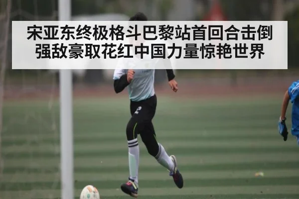 宋亚东终极格斗巴黎站首回合击倒强敌豪取花红中国力量惊艳世界